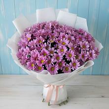 Букет цветов из:  Хризантемы #REPLACE_PRED# Журавском