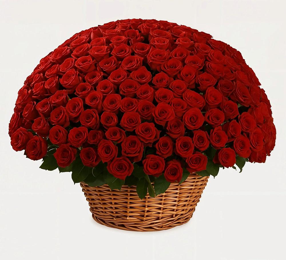 Премиум букет из: Розы в Журавском