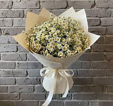 Букет цветов из:  Ромашки #REPLACE_PRED# Журавском