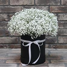 Цветочная композиция из Гипсофила в шляпной коробке в Журавском